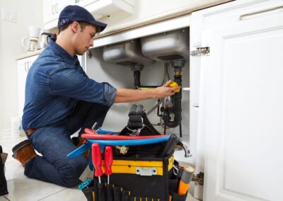 Plumber expert